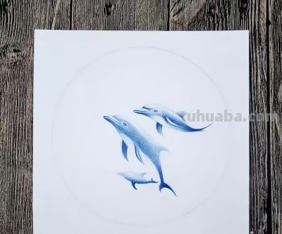 彩铅教程 | 《深海之魅》 - 图画吧TUHUABA