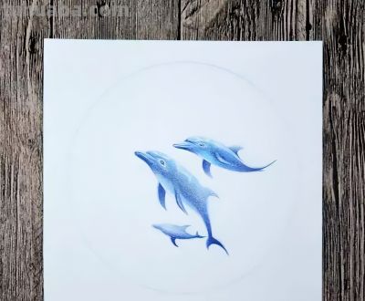 彩铅教程 | 《深海之魅》 - 图画吧TUHUABA