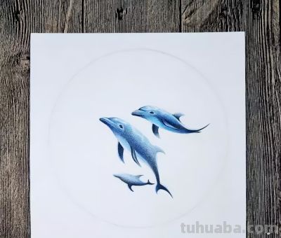 彩铅教程 | 《深海之魅》 - 图画吧TUHUABA