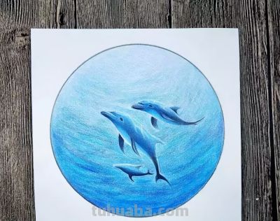 彩铅教程 | 《深海之魅》 - 图画吧TUHUABA