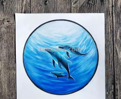 彩铅教程 | 《深海之魅》 - 图画吧TUHUABA