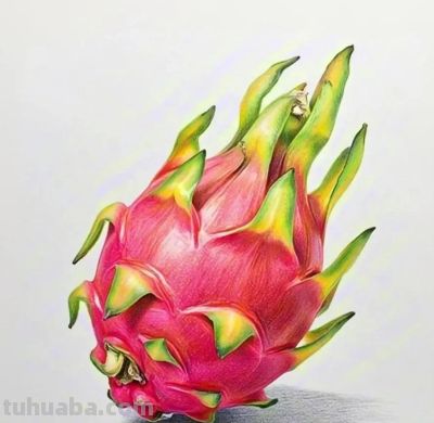 这些彩铅画，太好看了吧 - 图画吧TUHUABA