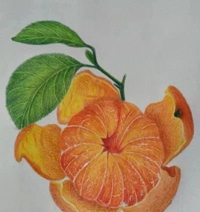 这些彩铅画，太好看了吧 - 今日头条