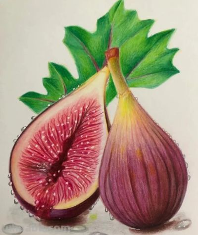 这些彩铅画，太好看了吧 - 图画吧TUHUABA