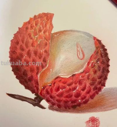 这些彩铅画，太好看了吧 - 图画吧TUHUABA