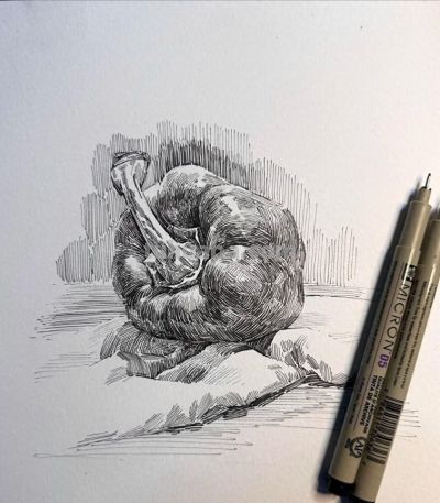 钢笔素描比较考验基本功，这些素描对形体和质感的理解很到位 - 今日头条