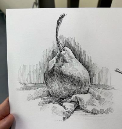 钢笔素描比较考验基本功，这些素描对形体和质感的理解很到位 - 图画吧TUHUABA