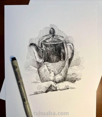 钢笔素描比较考验基本功，这些素描对形体和质感的理解很到位 - 图画吧TUHUABA