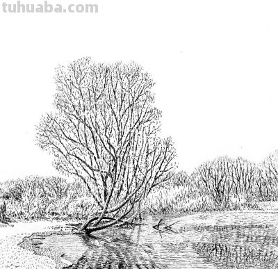 俄罗斯针管笔素描Svetlana Yesman作品 - 今日头条 俄罗斯针管笔素描Svetlana Yesman作品 - 图画吧TUHUABA