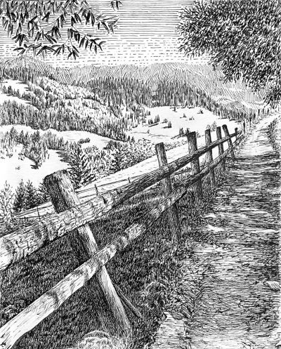 俄罗斯针管笔素描Svetlana Yesman作品 - 今日头条 俄罗斯针管笔素描Svetlana Yesman作品 - 图画吧TUHUABA