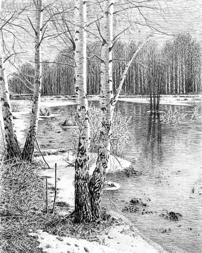 俄罗斯针管笔素描Svetlana Yesman作品 - 今日头条 俄罗斯针管笔素描Svetlana Yesman作品 - 图画吧TUHUABA