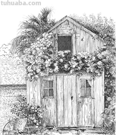 俄罗斯针管笔素描Svetlana Yesman作品 - 今日头条 俄罗斯针管笔素描Svetlana Yesman作品 - 图画吧TUHUABA