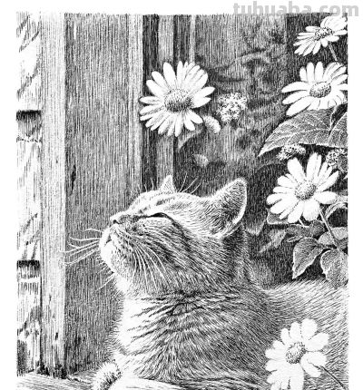 俄罗斯针管笔素描Svetlana Yesman作品 - 今日头条 俄罗斯针管笔素描Svetlana Yesman作品 - 图画吧TUHUABA