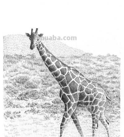 俄罗斯针管笔素描Svetlana Yesman作品 - 今日头条 俄罗斯针管笔素描Svetlana Yesman作品 - 图画吧TUHUABA