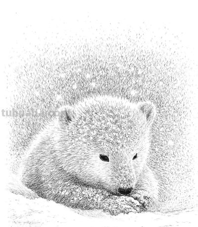 俄罗斯针管笔素描Svetlana Yesman作品 - 今日头条 俄罗斯针管笔素描Svetlana Yesman作品 - 图画吧TUHUABA