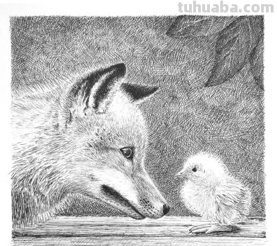 俄罗斯针管笔素描Svetlana Yesman作品 - 今日头条 俄罗斯针管笔素描Svetlana Yesman作品 - 图画吧TUHUABA