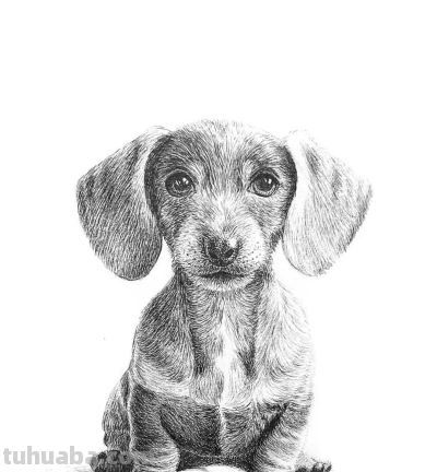 俄罗斯针管笔素描Svetlana Yesman作品 - 今日头条 俄罗斯针管笔素描Svetlana Yesman作品 - 图画吧TUHUABA