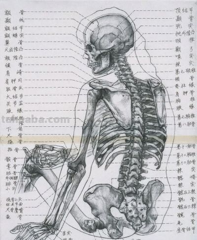 中央美术学院素描与速写 - 图画吧TUHUABA