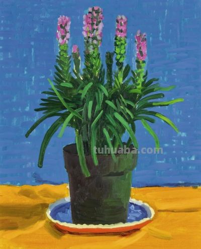 色彩为诗：霍克尼与马蒂斯的视觉共鸣 - 图画吧TUHUABA