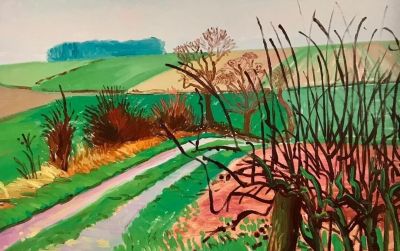 色彩为诗：霍克尼与马蒂斯的视觉共鸣 - 图画吧TUHUABA