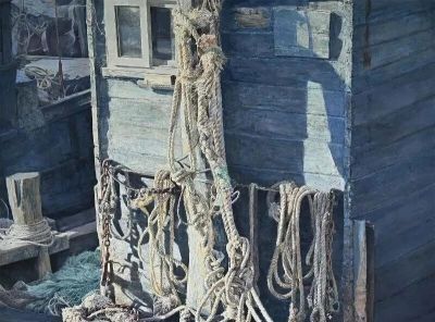 2025第十四届水彩·粉画作品展览 | 入选作品选刊 - 图画吧TUHUABA