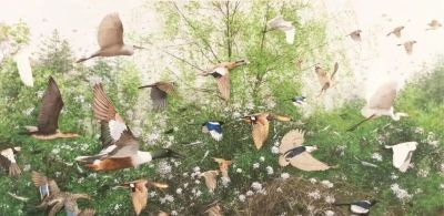 2025第十四届水彩·粉画作品展览 | 入选作品选刊 - 图画吧TUHUABA