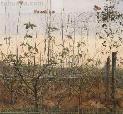 2025第十四届水彩·粉画作品展览 | 入选作品选刊 - 图画吧TUHUABA