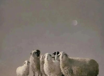 2025年百家金陵画展 | 油画作品选刊 - 图画吧TUHUABA