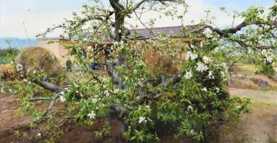 2025年百家金陵画展 | 油画作品选刊 - 图画吧TUHUABA