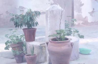 智利画家亚历杭德罗·德辛蒂写实油画作品欣赏 - 图画吧TUHUABA