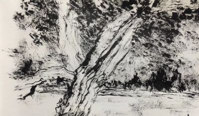 王泽起（子虚）——西部山水速写 - 图画吧TUHUABA