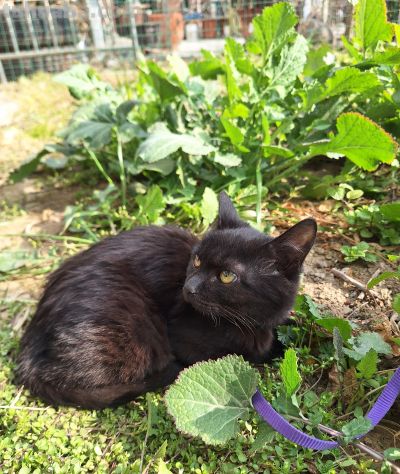 过完了年，人都走了（钢笔速写） - 图画吧TUHUABA