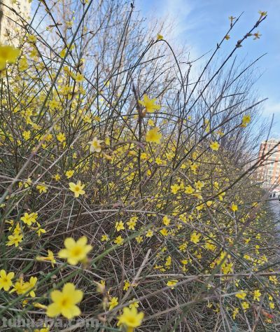 过完了年，人都走了（钢笔速写） - 图画吧TUHUABA