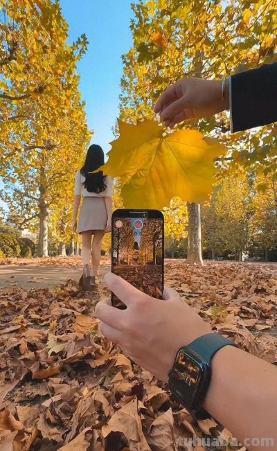 拍照党必学！手机摄影技巧+新功能，随手出氛围感大片 - 今日头条