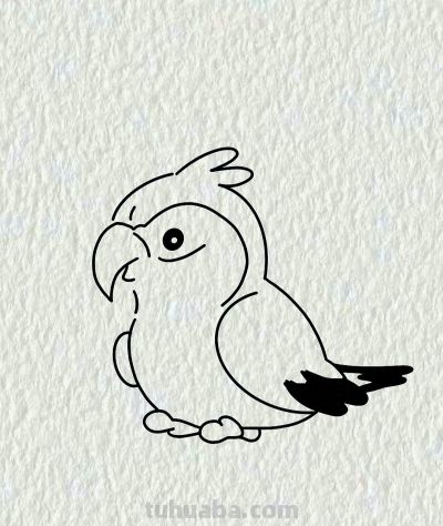 简笔画每日更新之鹦鹉🦜 - 今日头条