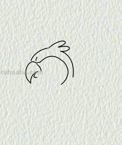 简笔画每日更新之鹦鹉🦜 - 图画吧TUHUABA