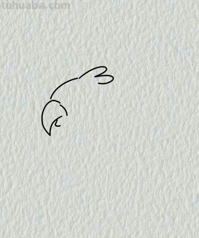 简笔画每日更新之鹦鹉🦜 - 图画吧TUHUABA