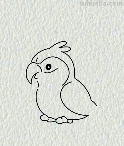 简笔画每日更新之鹦鹉🦜 - 图画吧TUHUABA