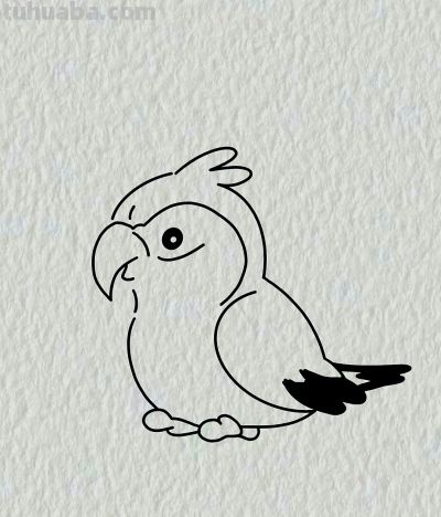 简笔画每日更新之鹦鹉🦜 - 图画吧TUHUABA