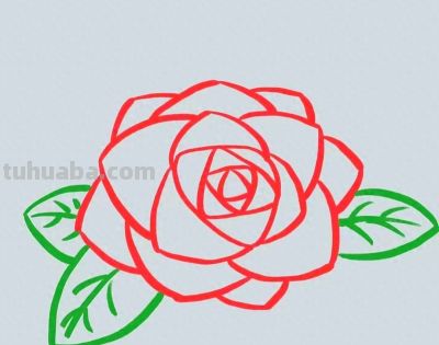 简笔画每日更新之玫瑰花 - 今日头条