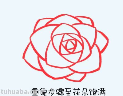 简笔画每日更新之玫瑰花 - 图画吧TUHUABA