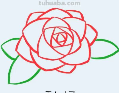 简笔画每日更新之玫瑰花 - 图画吧TUHUABA