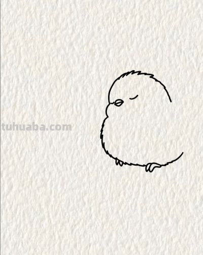 双鸟栖枝头 情意两相投丨画个简笔画分享 - 图画吧TUHUABA