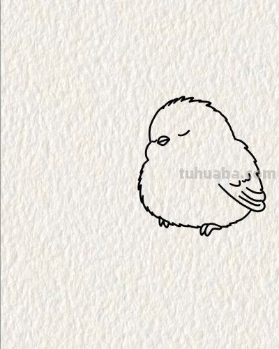 双鸟栖枝头 情意两相投丨画个简笔画分享 - 图画吧TUHUABA