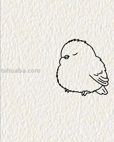 双鸟栖枝头 情意两相投丨画个简笔画分享 - 图画吧TUHUABA