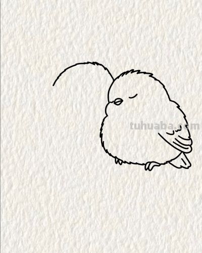 双鸟栖枝头 情意两相投丨画个简笔画分享 - 图画吧TUHUABA