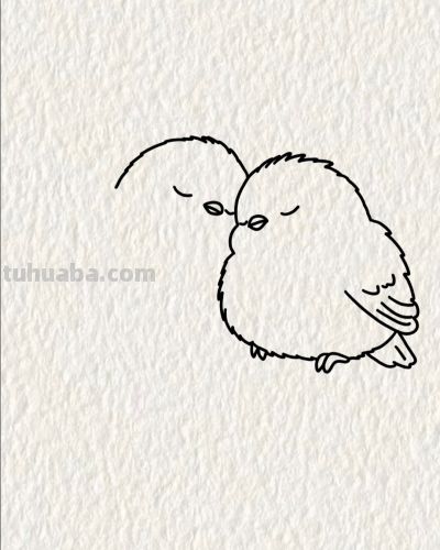 双鸟栖枝头 情意两相投丨画个简笔画分享 - 图画吧TUHUABA