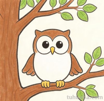 大家好！今天我带大家画猫头鹰的简笔画。 - 图画吧TUHUABA