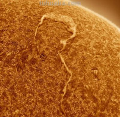 《Nature》公布2023年度最佳科学图片！会飞的壁虎、打印火箭等上榜 - 图画吧TUHUABA