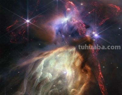 《Nature》公布2023年度最佳科学图片！会飞的壁虎、打印火箭等上榜 - 图画吧TUHUABA